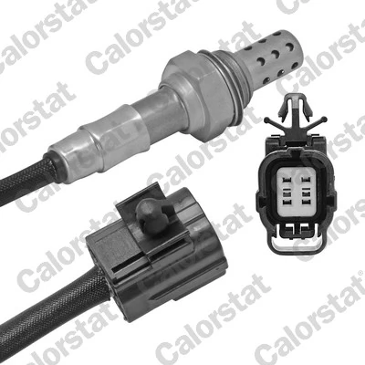 Oxygen Sensor